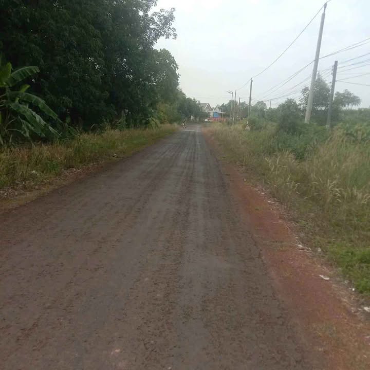 Đất nền Tân Phước Đồng Phú 420m² giá 600 triệu - Cơ hội đầu tư tuyệt vời!