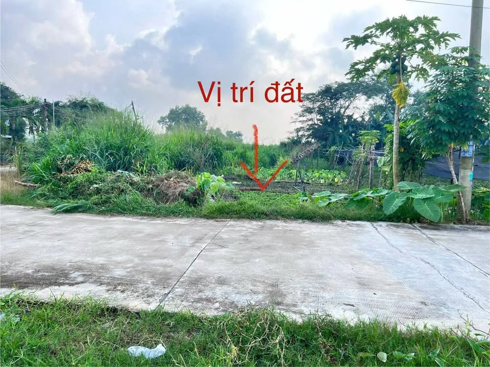 Đất lô gốc Đức Hòa Thượng 490m² giá 570 triệu - Đường xe tải lớn, dân cư đông đúc!