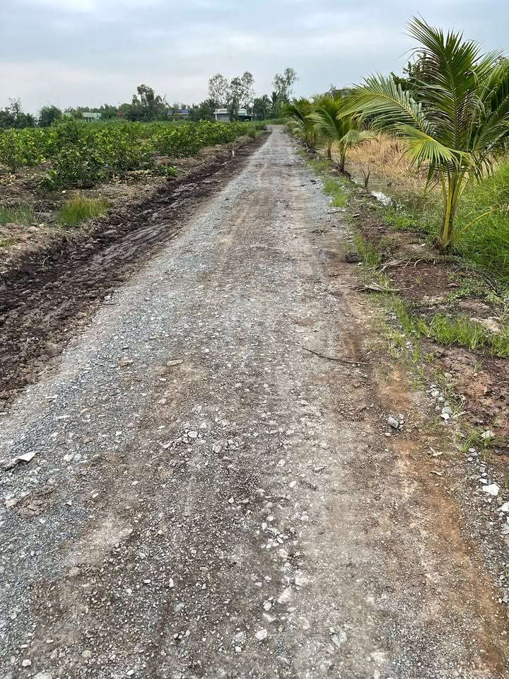 Đất vườn 2000m² tại Tân Thành, Thủ Thừa giá 560 triệu - Thương lượng chính chủ!