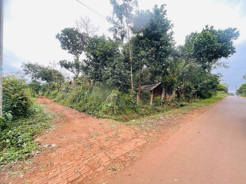 Đất nền Ea Drơng 190m² giá 4.5 tỷ - Sổ đỏ chính chủ, vị trí đẹp!