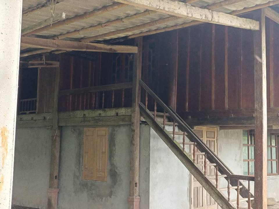 Đất nền Phú Cường Tân Lạc 1ha giá 2 tỷ - Cơ hội đầu tư tuyệt vời!