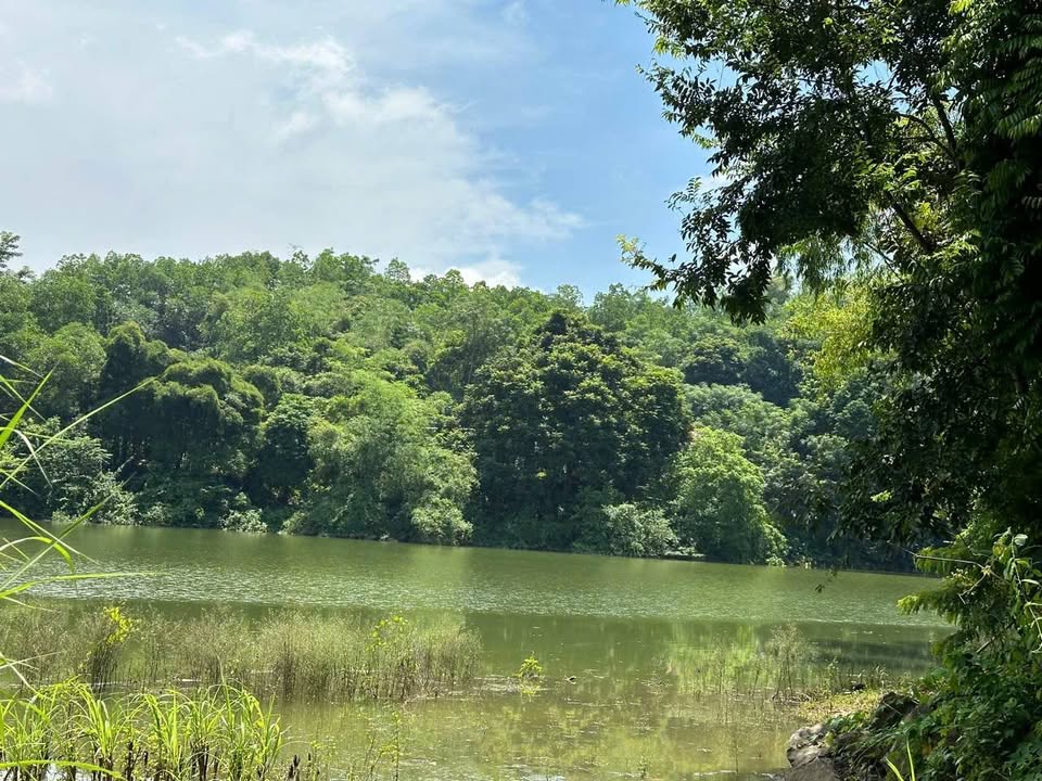 Đất thổ cư 160m² Lạc Lương, Yên Thủy - Giá chỉ 320 triệu - Cơ hội đầu tư tuyệt vời!