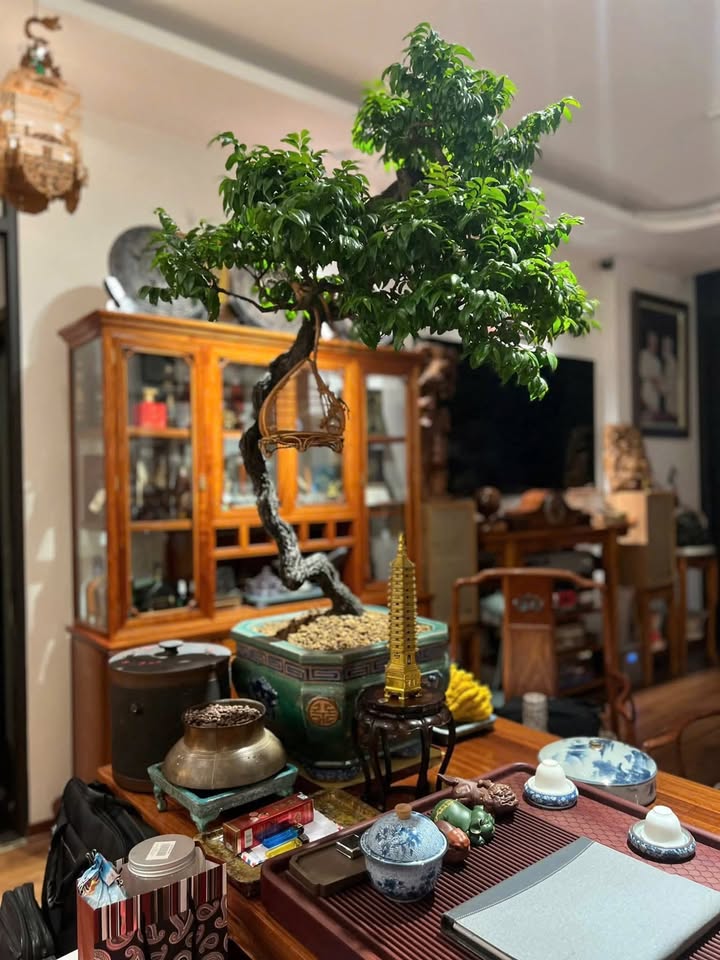 Đất nền Kim Quỳ, Hoằng Hóa 200m² giá chỉ 1 tỷ - Cơ hội đầu tư tuyệt vời!