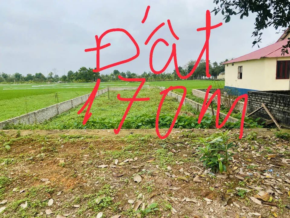 Lô đất Hoằng Xuyên 170m² giá 1 tỷ - Đầu tư sinh lời ngay!