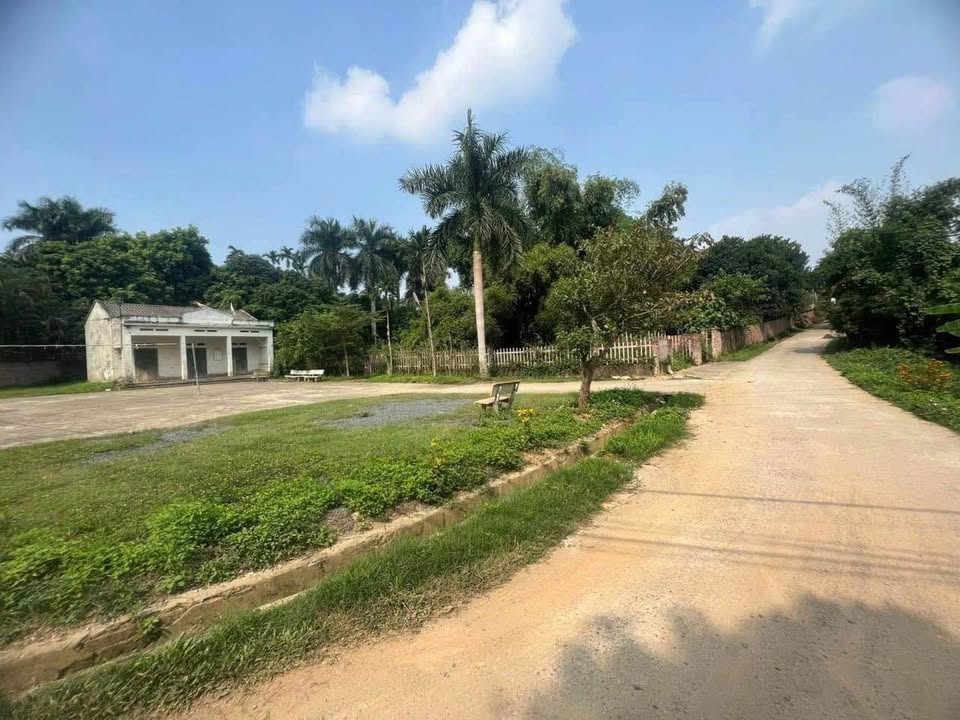 Đất thổ cư Gò Mè, Tiến Xuân 646m² - Đón sóng Metro đầu tư hiệu quả!