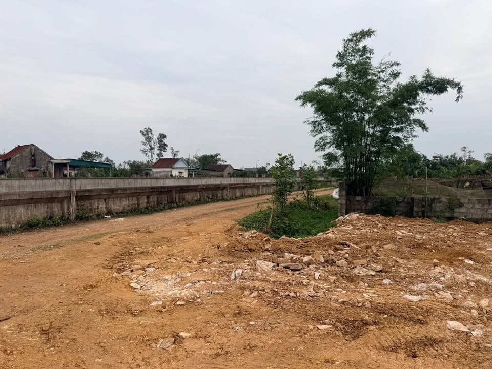 Đất thổ cư 1300m² xã Trường Lưu giá 1.65 tỷ - Đầu tư sinh lời ngay!