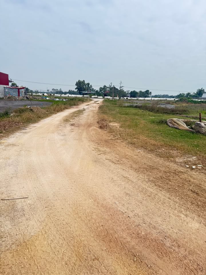 Đất nền 125m² đường Tân Định Cát - Cơ hội đầu tư hấp dẫn!