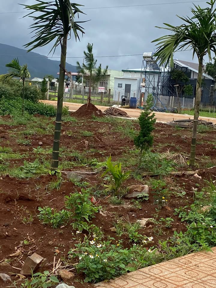 Đất thổ cư Suối Thông B, Đơn Dương 180m² giá 980 triệu - Đường rộng, gần sân bay!