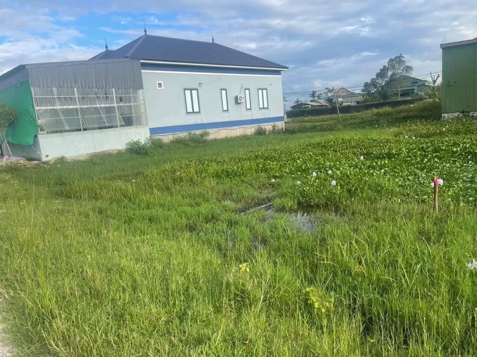 Đất nền Thạch Điền 340m² giá 1.6 tỷ - Vị trí đắc địa gần chợ