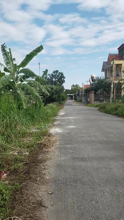 Đất giãn dân Đức Xương, Gia Lộc 100m² giá 1 tỷ - Vị trí kinh doanh tiềm năng!