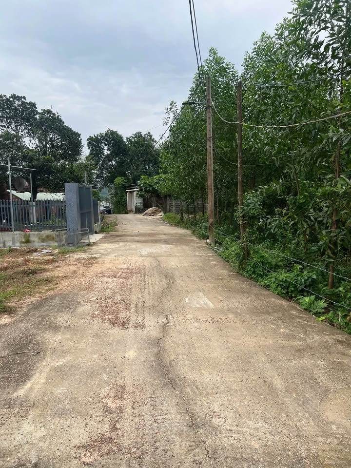 Đất Phú Thượng, Liên Chiểu 400m² giá 1.7 tỷ - Tiềm năng phát triển lớn!