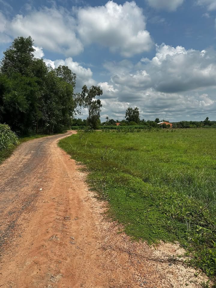 Đất nền Tân Phong, Tân Biên, Tây Ninh 10.000m² giá 1.5 tỷ - Cơ hội đầu tư hiếm có!