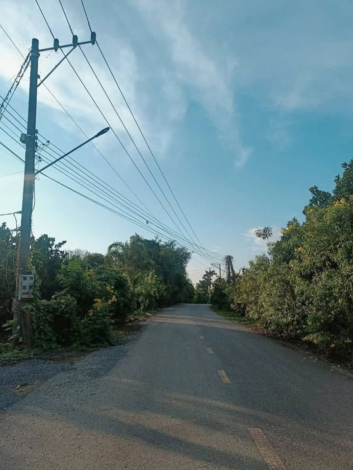 Đất nở hậu Bắc Tân Uyên 550m² giá 1.8 tỷ - Hưng thịnh tài lộc cho gia chủ!