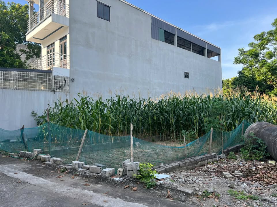 Đất nền Phú Cát, Quốc Oai 100m² giá 2 tỷ - Đường thông thuận tiện!