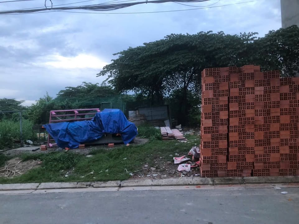 Đất nền Tỉnh Lộ 10, Tân Tạo, Bình Tân 1500m² - Pháp lý rõ ràng, đầu tư sinh lời!