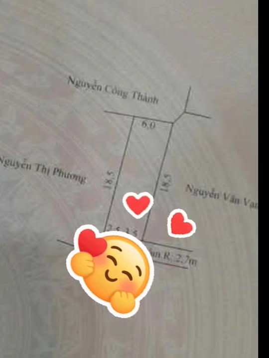 Đất thổ cư Trường Thọ, An Lão 111m² giá 1.8 tỷ - Đầu tư sinh lời ngay!