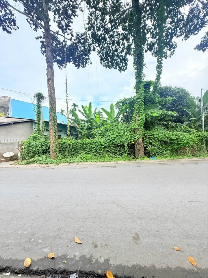 Đất nền mặt tiền Trần Văn Hiển, Mỹ Tho 59m² giá 2.9 tỷ - Vị trí đẹp gần Big C