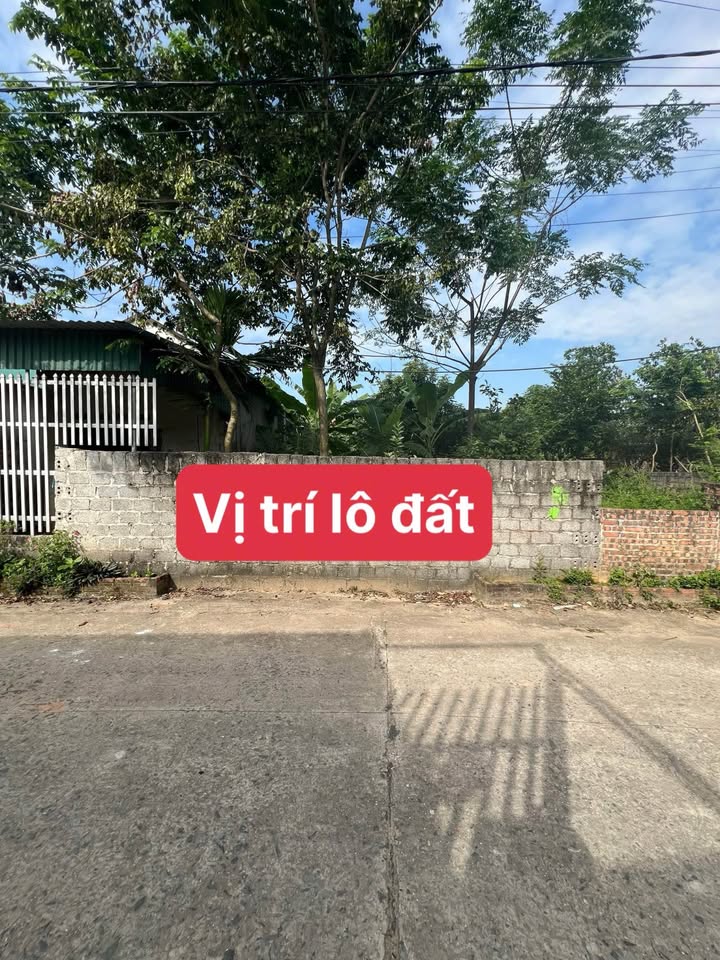 Đất thổ cư 80m² tại Núc Hạ, Hồ Sơn - Tiềm năng vàng giá 1 tỷ!