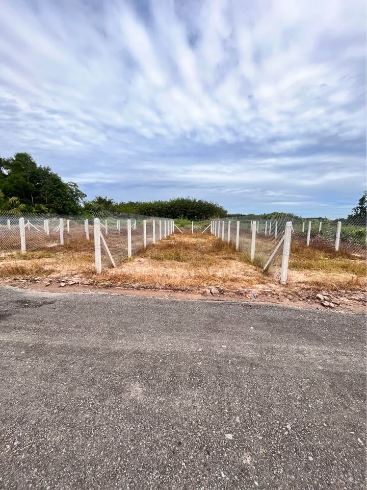 Đất liền kề ấp Cây Da, Gò Dầu, Tây Ninh 115m² chỉ 790 triệu - Đầu tư sinh lời ngay!