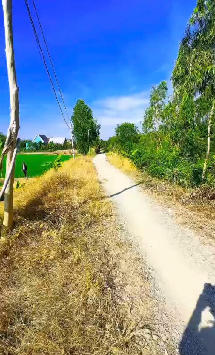 Đất nền Bình Phong Thạnh 2400m² giá chỉ 620 triệu - Cơ hội đầu tư tuyệt vời!