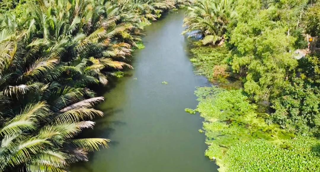 Đất vườn mặt tiền Phan Văn Mười Hai, xã Trung Hòa, 349m² chỉ 880 triệu - Cơ hội đầu tư hấp dẫn!