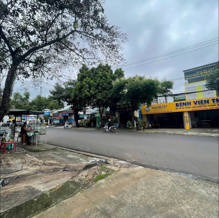 Nhà phố Tân Thành Buôn Ma Thuột 96m² giá 2.65 tỷ - Vị trí đắc địa, sẵn nhà cho thuê!