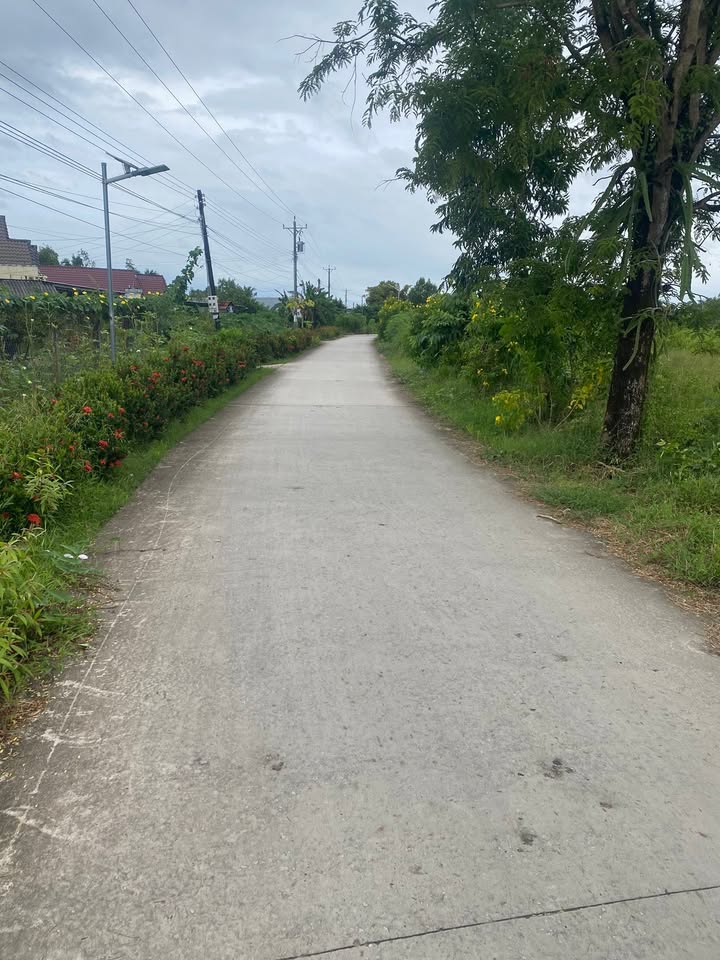 Đất nền phường Lý Văn Lâm 300m² giá 500 triệu - Mặt tiền sông Gành Hào tuyệt đẹp!