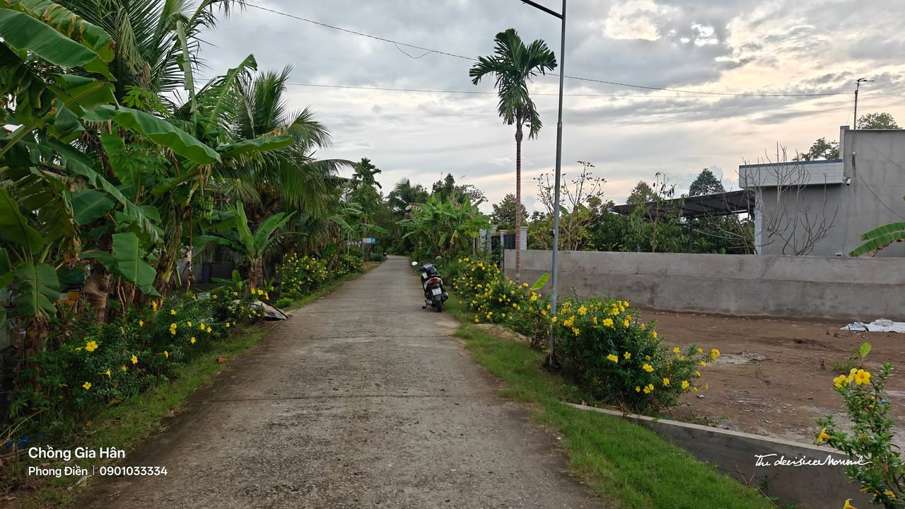 Đất nền Nhơn Ái, Phong Điền 300m² giá 850 triệu - Cơ hội đầu tư tuyệt vời!