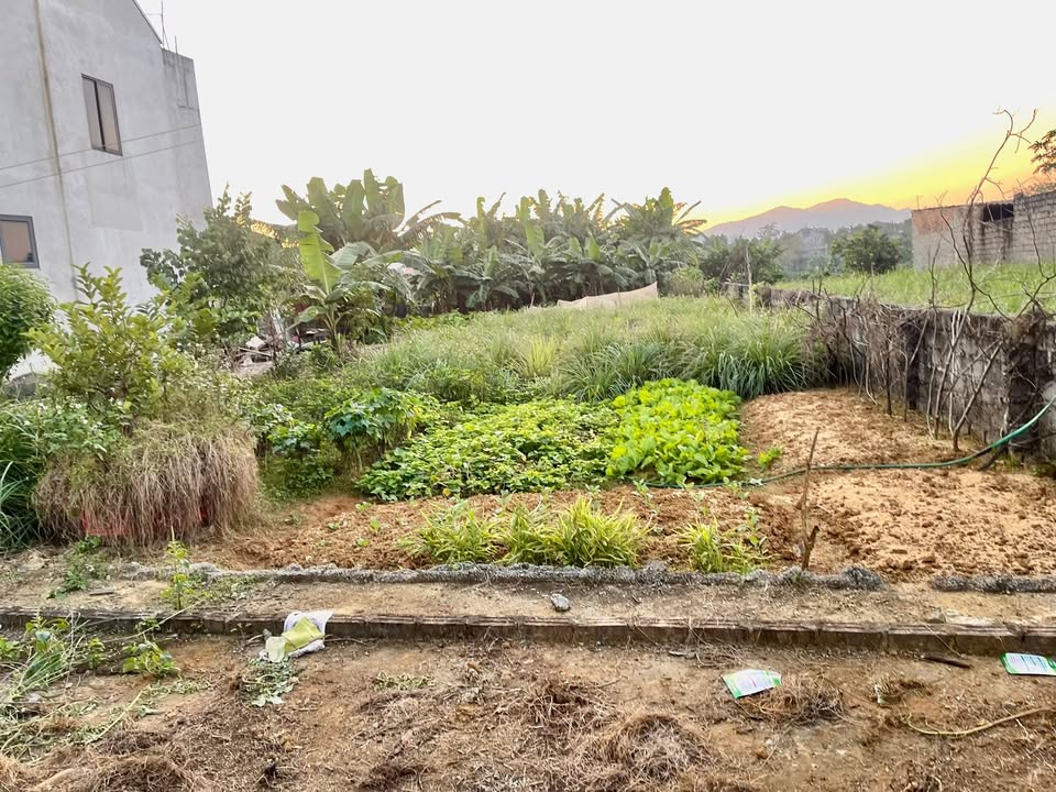 Đất nền Đông Yên Quốc Oai 100m² giá 2 tỷ - Ô tô vào tận đất!