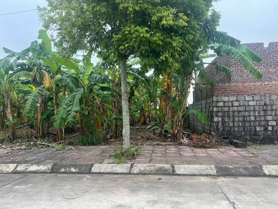 Đất nền Tiến Đức 150m² - Mặt tiền rộng, giá rẻ không tưởng!