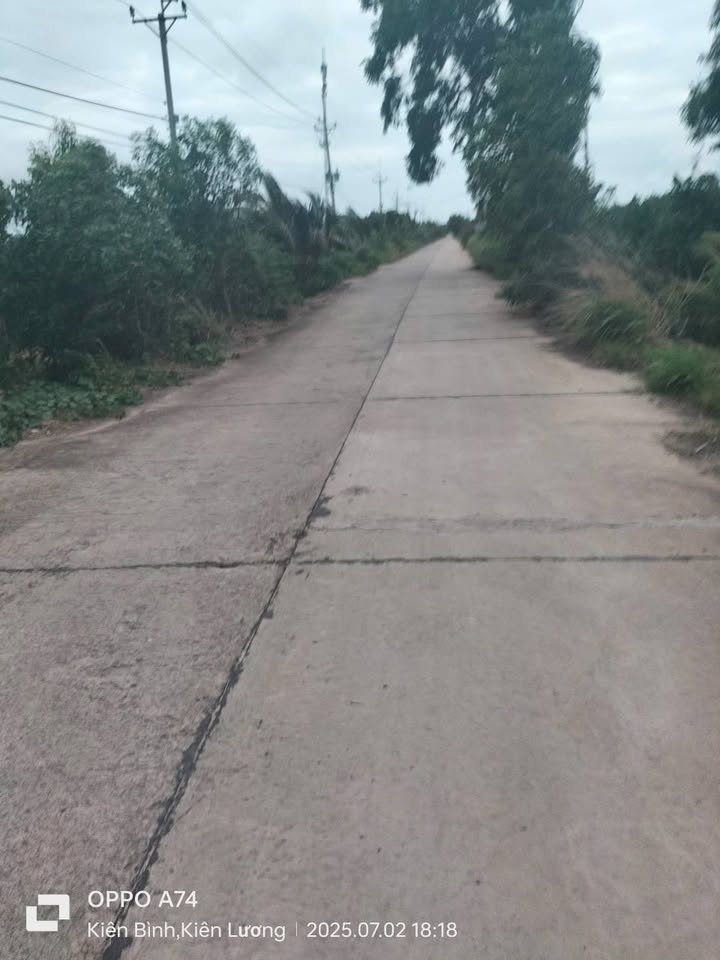 Đất ruộng 130.000m² tại ấp Song Chinh, Kiên Giang - Giá 120 triệu, cơ hội đầu tư sinh lời!