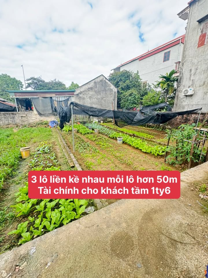 Đất nền Trạch Mỹ Lộc - Phúc Thọ 50m² giá 1.6 tỷ - Vị trí đắc địa, đầu tư sinh lời!