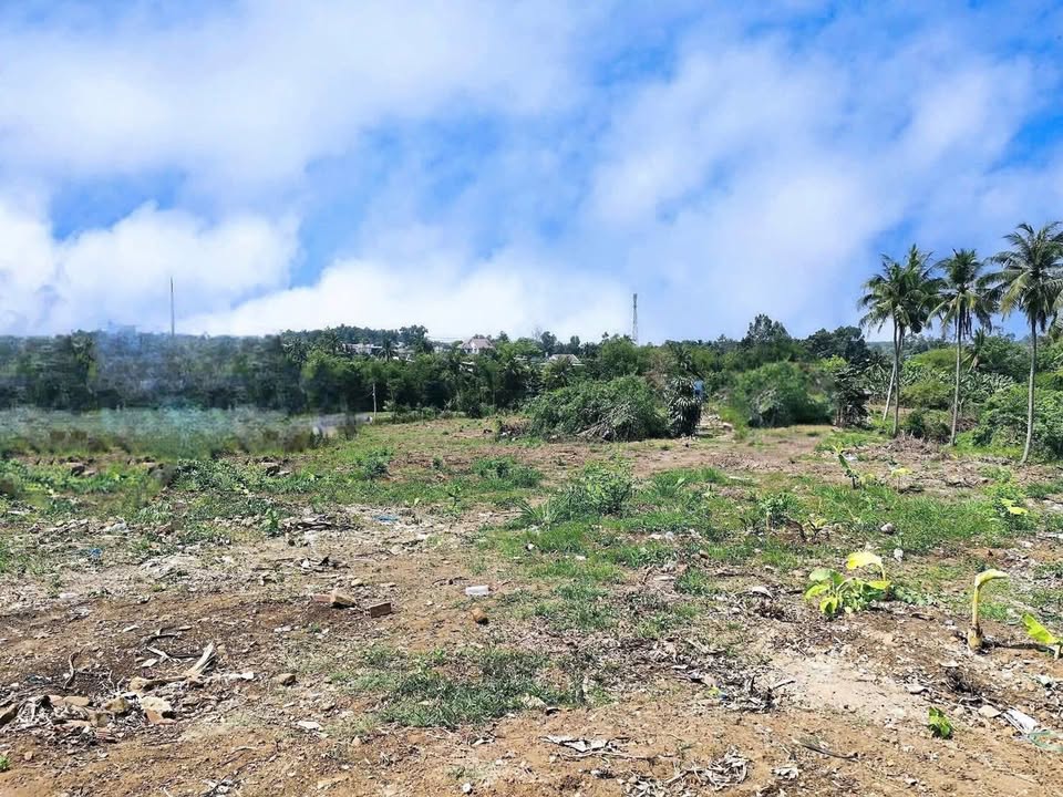 Đất thổ cư 90.000m² Bình Minh, Trảng Bom - Giá chỉ 600 triệu/m², cơ hội đầu tư tuyệt vời!