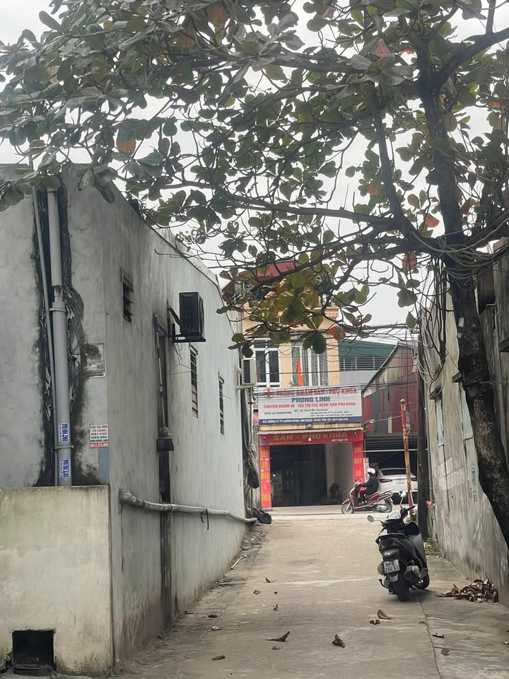 Đất đô thị Lương Bằng - 100m² chỉ 2 tỷ - Cơ hội đầu tư hấp dẫn!