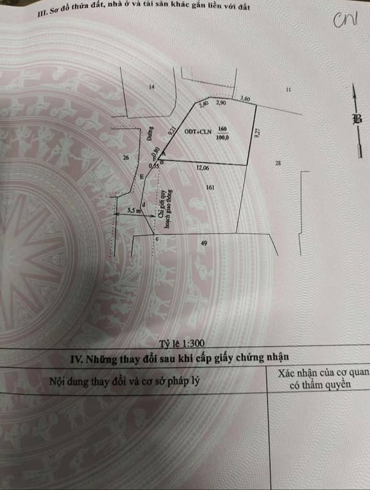 Đất thổ cư 100m² Phường Mỹ Đông, giá chỉ 800 triệu - Đầu tư sinh lời ngay!