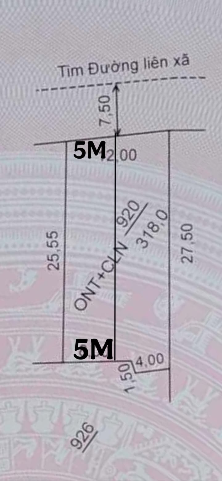 Đất nền Hải Long, Như Thanh 125m² giá 1.3 tỷ - Vị trí đắc địa cho kinh doanh