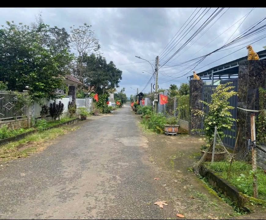 Đất thổ cư mặt tiền Sư Vạn Hạnh, Lộc Nga 1632m² giá 6.2 tỷ - Cơ hội đầu tư tuyệt vời!