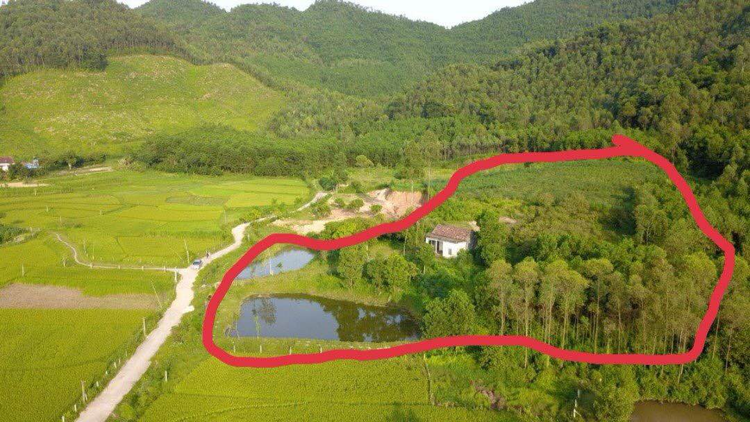 Đất thổ cư 1ha tại Ngọc Thanh, Phúc Yên - Giá chỉ 1x tỷ VND - Cơ hội đầu tư hấp dẫn!