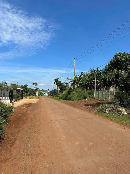 Bán gấp FrontHouse mặt tiền Âu Cơ, An Bình, 300m² - Giá chỉ 370 triệu!