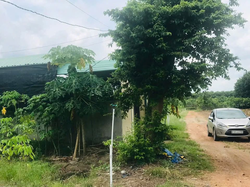 Đất Trừ Văn Thố, Bàu Bàng 285m² giá 1,2 tỷ - Cơ hội đầu tư tuyệt vời!