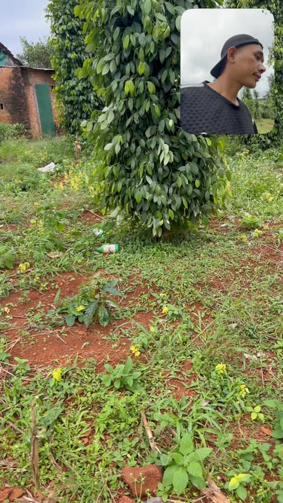 Đất nền 2ha tại Quảng Trực, Tuy Đức 3 tỷ - Tiềm năng đầu tư lớn!