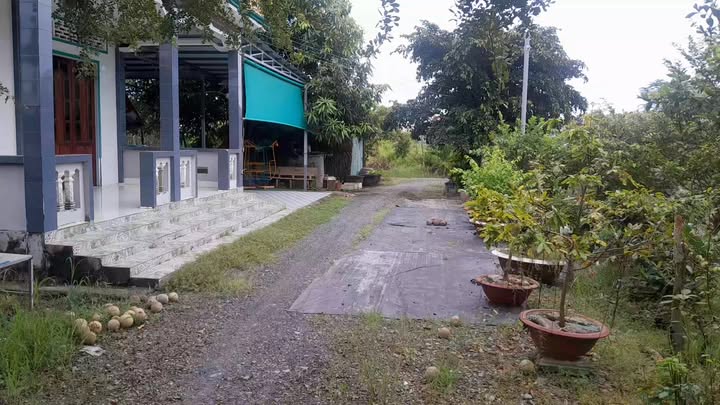 Đất thổ cư 300m² tại Tân Tập, Cần Giuộc - Giá chỉ 1,5 tỷ - Sẵn sàng giao dịch!