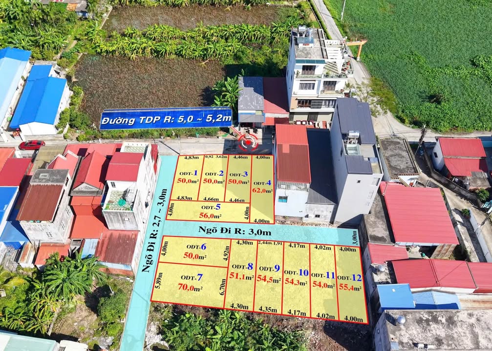 Đất nền Hoa Động Thủy Nguyên 60m² giá 1.65 tỷ - Cơ hội đầu tư hấp dẫn!