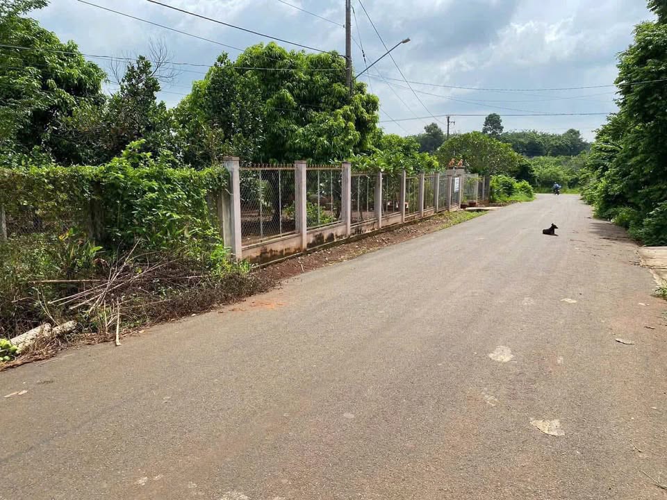 Đất nền Hòa Long, Bà Rịa 854m² giá 5 tỷ - Cơ hội đầu tư hấp dẫn!