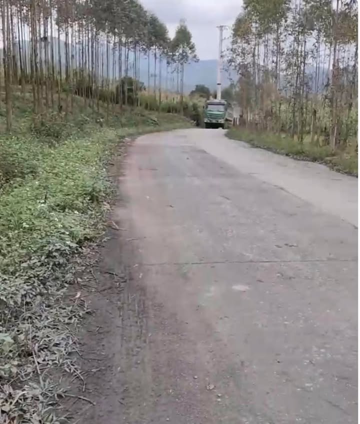 Đất Farm 13000m² tại Lục Sơn, Lục Nam, Bắc Giang - Pháp lý rõ ràng, giá thỏa thuận!