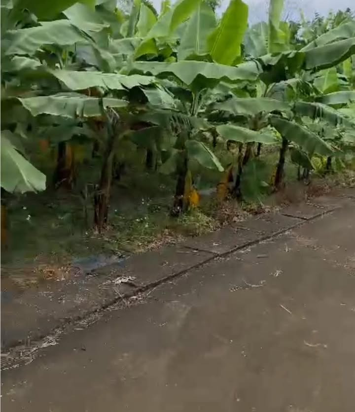 Đất thổ cư Hương Mai 421.5m² giá 2.2 tỷ - Hai mặt tiền đẹp, cơ hội đầu tư tuyệt vời!