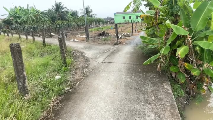 Đất nông nghiệp 1000m² Tầm Vu Tây Ninh giá 630 triệu - Sổ hồng riêng, pháp lý rõ ràng!