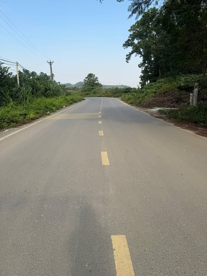 Đất nền mặt đường Núi Vàng, phường Trung Sơn, 100m² - Cơ hội đầu tư tuyệt vời!