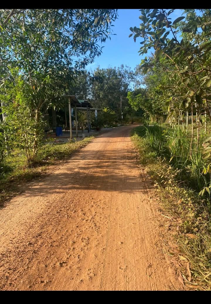 Đất nền 400m² ấp Rộc A, Gò Dầu giá chỉ 57 triệu/m² - Đầu tư sinh lời ngay!