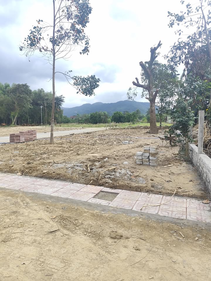 Đất Hòa Bắc, Hòa Vang, Đà Nẵng 325m² - Sổ hồng chính chủ, vị trí đẹp!